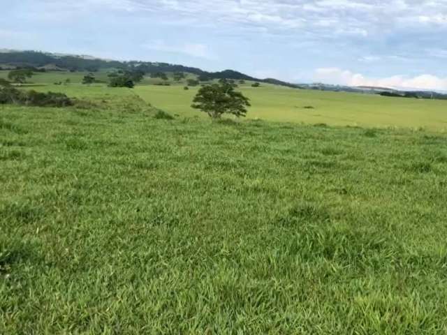 Fazenda para venda na região de Marilia-SP com 225 alqueires montada na pecuária, beira da rodovia