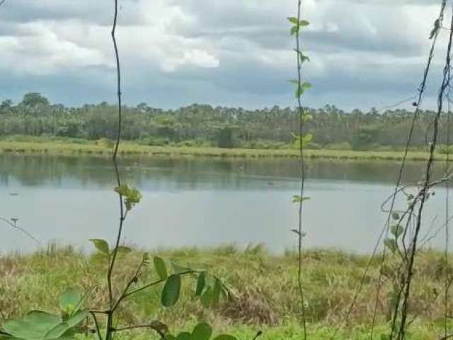 Fazenda para venda na regiao Manoel Emidio-PI com 1.650 hectares, fazenda bruta, sem área consolidada