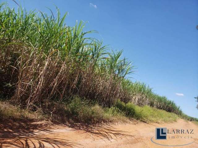 Fazenda para venda na região de Mirassol-SP com 46 alqueires sendo 33 alqueires em cana própria mais pastagem, boa de água e benfeitorias