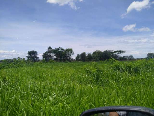 Fazenda na pecuária para venda na região de Corumba-MS no Pantanal com 1.990 hectares, ótima em benfeitorias