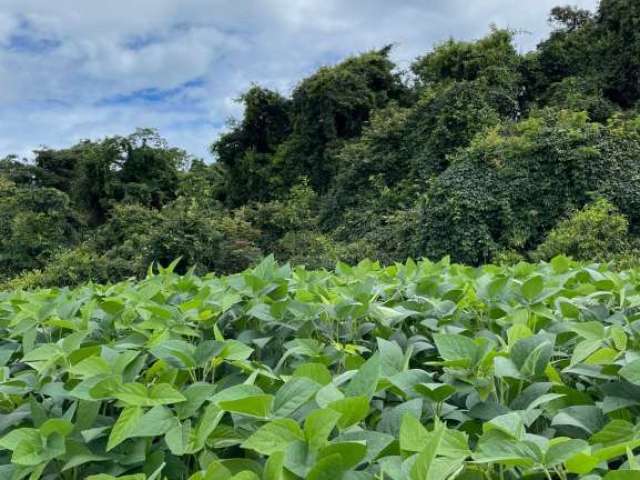 Fazenda dupla aptidão para venda na região de Uberlandia-MG com 1.380 hectares, atual na pecuária, já teve lavoura, pode irrigar, já com outorga