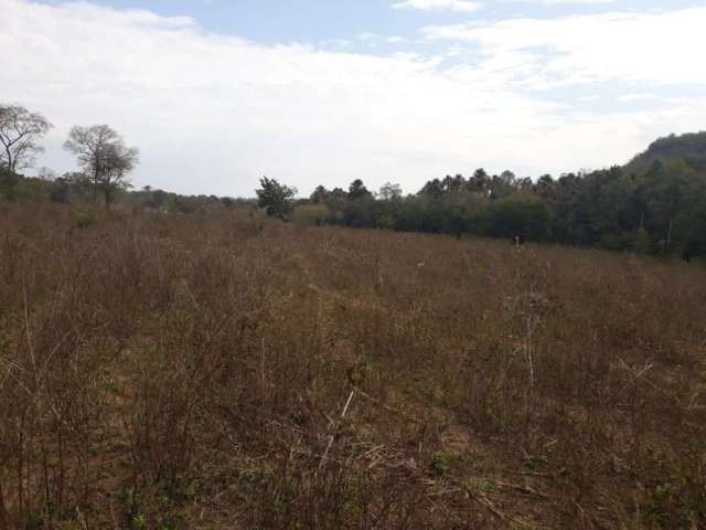 Fazenda para venda na região de Rochedo-MS com 210 hectares em braquiara, rica em agua com 2 corregos, sem benfeitorias