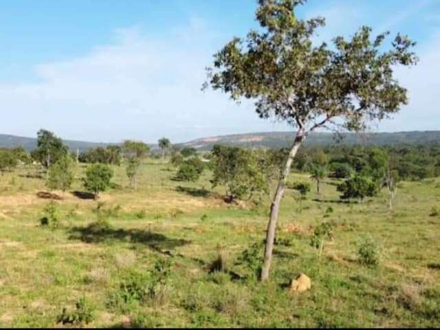 Fazenda dupla aptidao para venda na região de Biquinhas-MG com 419 hectares atual na pecuária e eucalipto, ideal para lavora irrigada, beira de Rio