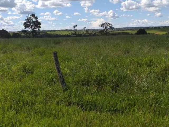 Fazenda para venda na região de Iturama-MG com 992 hectares montada na pecuária, benfeitorias, rica em agua, pode rodar pivo