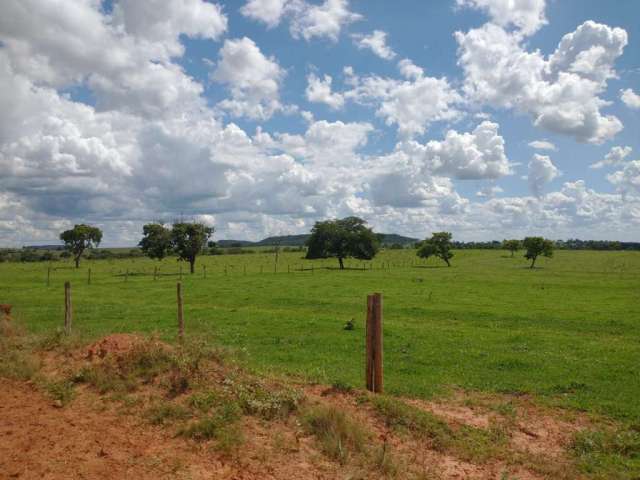 Fazenda para venda na região de Inocencia-MS com 115 alqueires montada na pecuária, boa de agua e benfeitorias