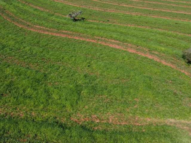 Fazenda para venda na região de Aparecida do Taboado-MS com 149 alqueires, terra de cultura, montada na pecuária, benfeitorias ótimas, rica em agua