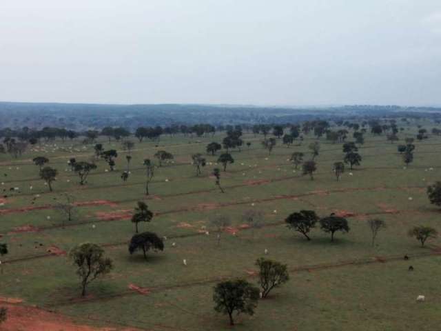Fazenda para venda na região de Amambai-MS com 870 hectares na pecuária, toda formada, benfeitorias