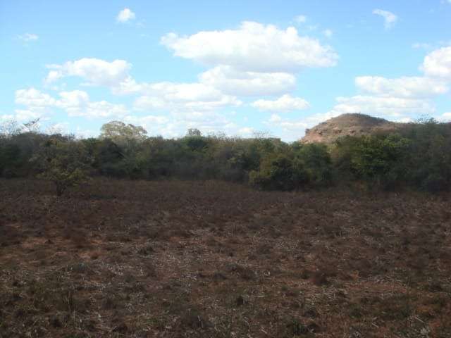 Fazenda grande extensão para venda na região de Parnagua-PI com 16.900 hectares total, parte em pastagem, muita madeira, rica em agua e benfeitorias