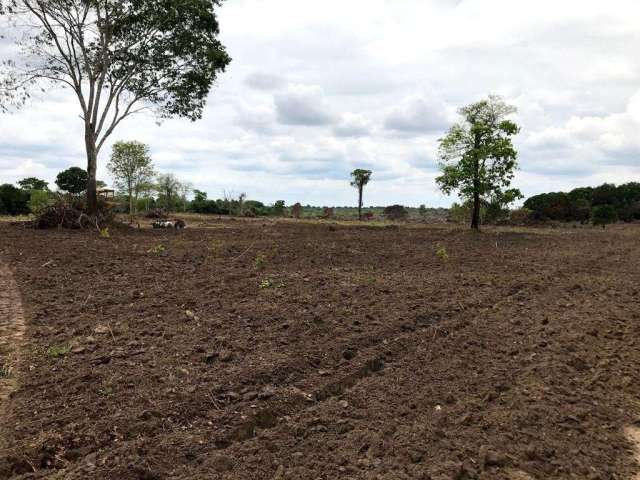 Fazenda para venda em Peixe-TO com 122,23 hectares em pastagem formada, beira de rio, casa, energia, curral e muita madeira