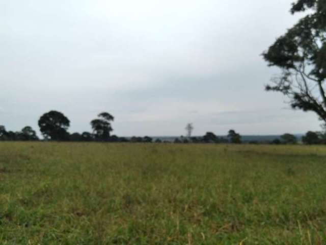 Fazenda dupla aptidao para venda na regia de Limeira Doeste-MG com 325 hectares, atual na pecuária, rica em agua, benfeitorias