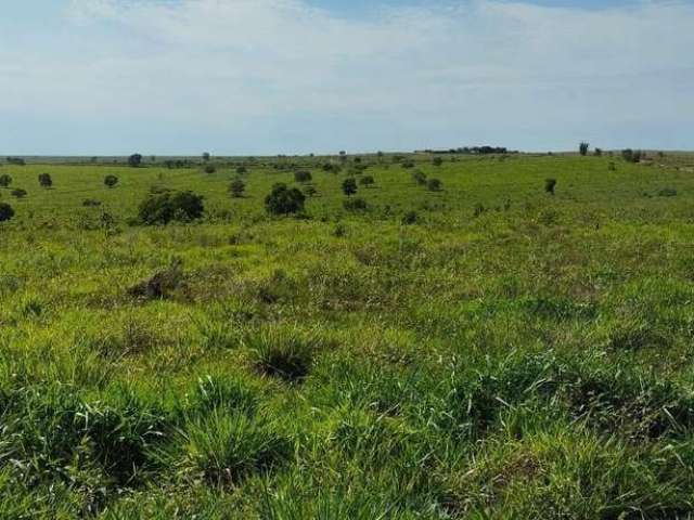 Fazenda para venda na região de Sonora-MS com 342 alqueires montada na pecuária, rica em agua e benfeitorias