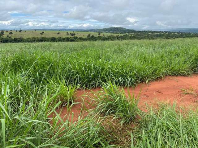 Fazenda dupla aptidão para venda na região de Cassilandia-MS com 128 alqueires, aproveitamento 118 alqueires, montada na pecuária