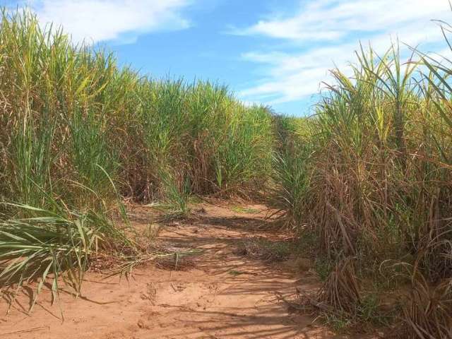 Sitio para venda em Gurinhata-MG com 15 alqueirao MG sendo 8 alqueirao em cana arrendada, restante em pasto