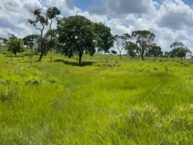 Sitio para venda em Campina Verde-MG com 61 hectares na pecuária, muito bom de agua e benfeitorias