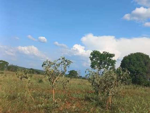 Fazenda para venda em Ituiutaba-MG com 295 hectares em pastagem, boa de agua, benfeitorias