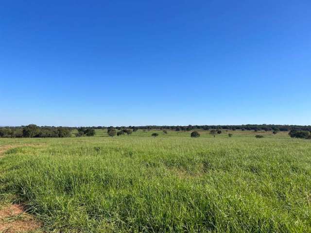 Fazenda para venda na região de Inocencia-MS com 98 alqueires na pecuária, boa de agua e de benfeitorias