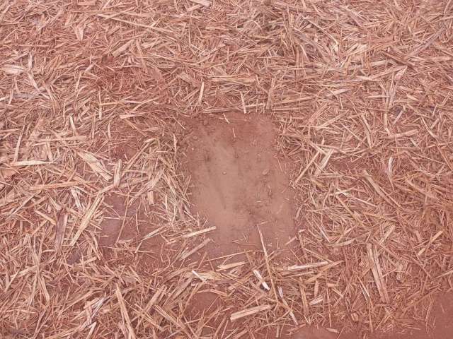 Sitio para venda na região de Ribeirão Preto-SP com 18 alqueires sendo 16 alqueires em cana arrendada, terra vermelha, boa de agua, beira da rodovia