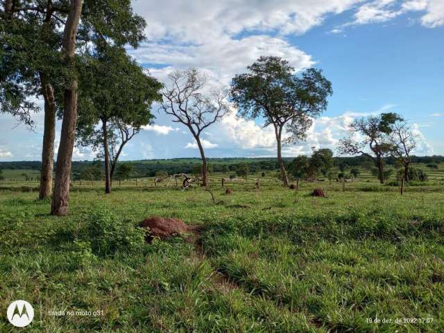 Fazenda para venda na região de Ituramas-MG com 145 hectares na pecuária, aproveita 80% para plantio, usinas tem interesse em arrendar