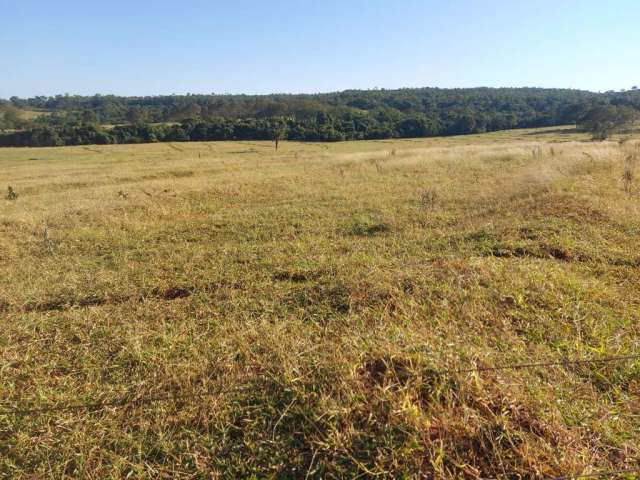 Fazenda dupla aptidao para venda na região de Ituiutaba-MG com 175 hectares na pecuária, pode plantar 140 hectares em cana ou soja