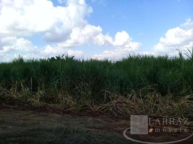 Fazenda para venda na região de São Carlos-SP, com 399 alqueires sendo 290 alqueires em cana mais pasto, muitas benfeitorias