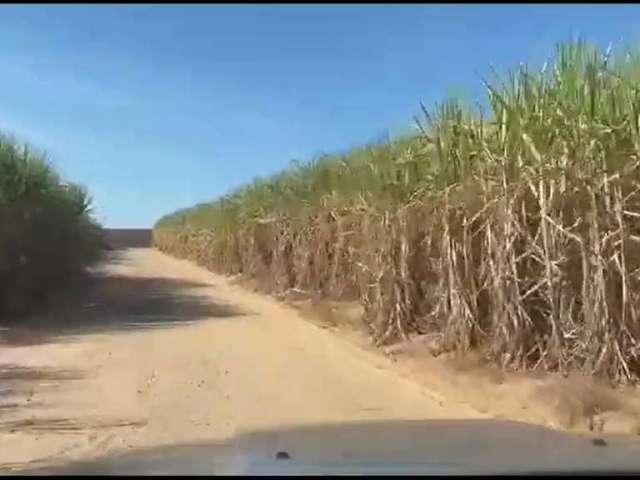 Fazenda para venda na região de Brotas-SP com 390 alqueires sendo 280 alqueires em cana arrendada, rica em agua, beira do asfalto