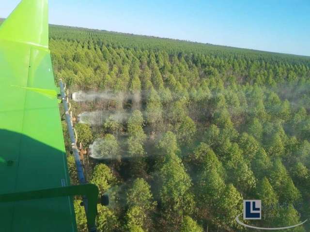 Super oportunidade Apenas R$ 5.812,00 / hectare. Fazenda para venda em Santa Fé de Minas-MG com 671 hectares, aberta, parte em eucalipto, tem fornos p