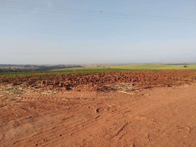 Fazenda dupla aptidao para venda na região de Lins-SP com 115 alqueires em cana e pastagem, fazenda completa