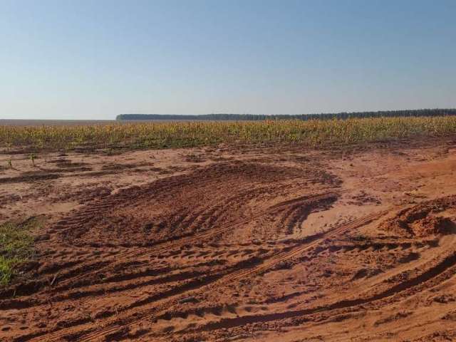 Sitio para venda na região de Tupa-SP com 18 alqueires com 100% de aproveitamento para lavoura, plano, sem benfeitoria, proximo da Usina