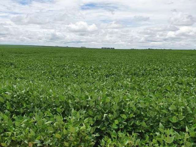 Fazenda para venda na região de Nova Mutum-MT com 3.195 hectares sendo 1.590 hectares abertos para lavoura, benfeitoriasm rica em agua, beira da pista