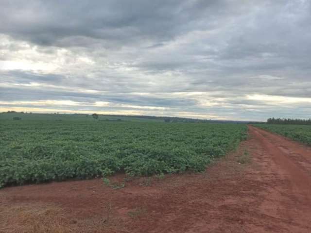 Fazenda na soja para venda na região de Iturama-MG com 182 hectares sendo 174 hectares na soja