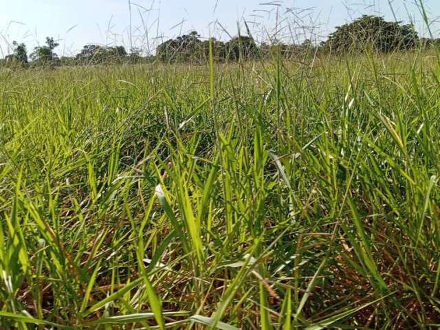 Sitio dupla aptidao para venda na regiao de Lagoa-Santa-GO com 30 alqueires na pecuária, rio na propriedade e benfeitorias