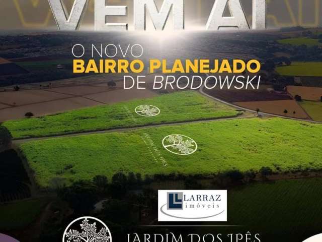 Lançamento de lotes em Brodowski-SP, Jardim dos Ipês, lote com 150 m2, infraestrutura completa, plano sem juros e correção para investidores e constru