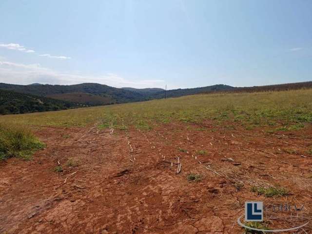 Sitio para venda em Capitolio-MG com 16,10 hectares, terra para lavoura, rico em agua, rio na divisa