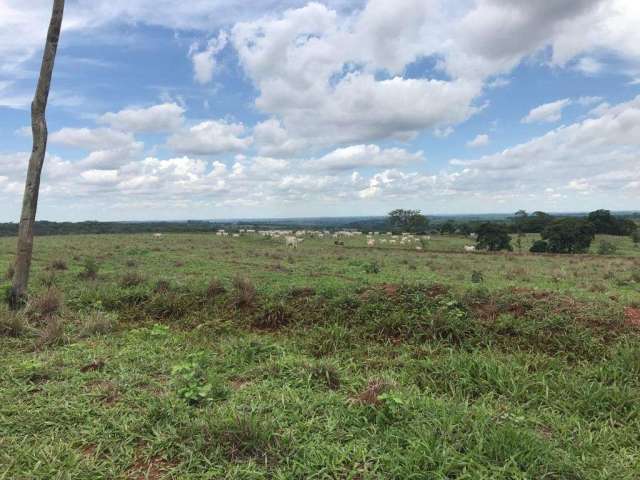 Fazenda para venda na região de Jales-SP com 81 alqueires na pecuária, completa em benfeitorias, rica rem agua