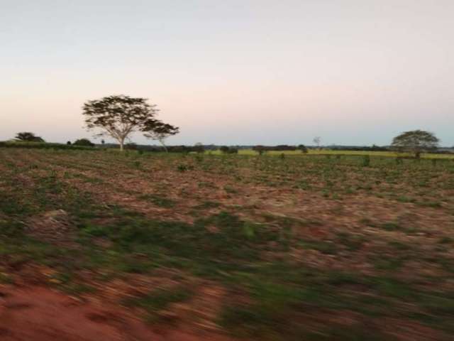 Sitio para venda na região de Jales-SP com 29 alqueires sendo 27 alqueires em cana arrendada, bom de agua, plano