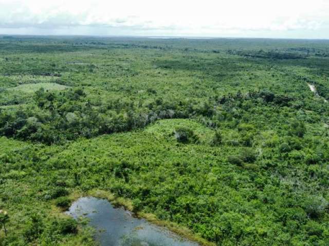 Fazenda para venda na região de Humberto de Campos-MA com 12.500 hectares sendo 10.000 hectares consolidados, restante APP e Reserva