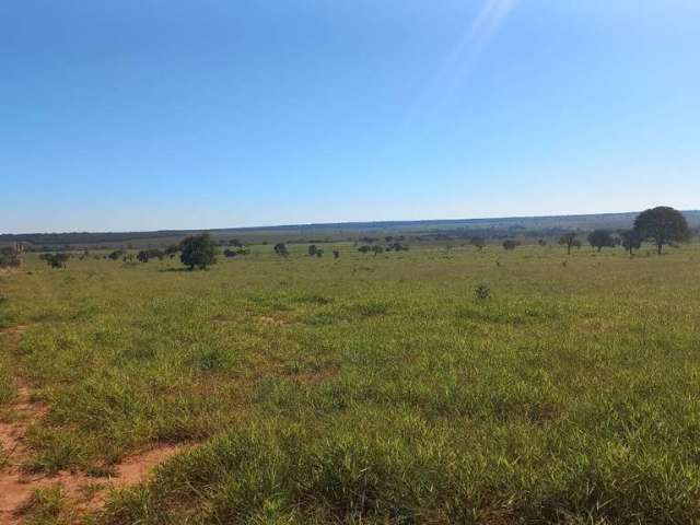 Fazenda para venda na região de Ribas do Rio Pardo-MS com 493 alqueires montada na pecuária, rica em agua e ótima localização