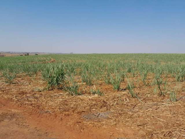 Fazenda para venda na região de Jales-SP com 40 alqueires sendo 30 alqueires em cana arrendada