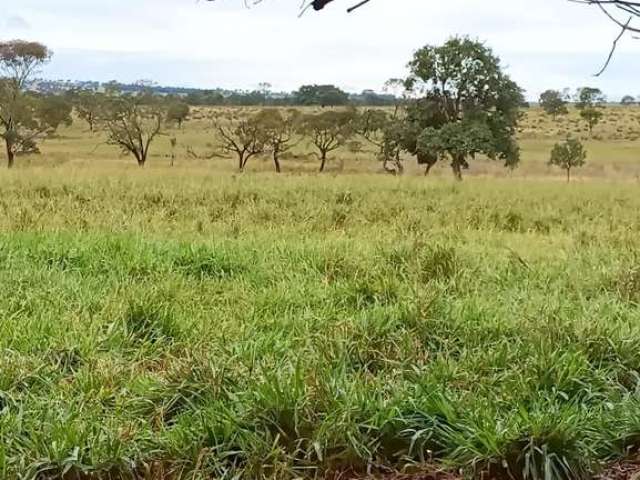 Fazenda dupla aptidao para venda na região de Cassilandia-MS com 112 alqueires, benfeitorias, rica em agua, região de muita chuva