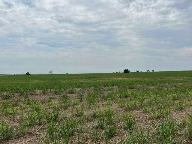 Fazenda para venda na região de Presidente Prudente-SP com 185 alqueires sendo 160 alqueires em cana arrendada, beira do asfalto, rio na propriedade p