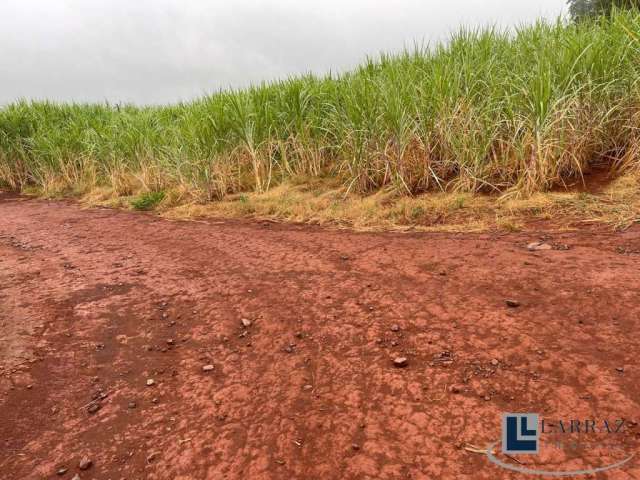 Fazenda para venda na região de Ribeirão Preto-SP, com 57 alqueires sendo 23 alqueires em cana arrendada, solo vermelho