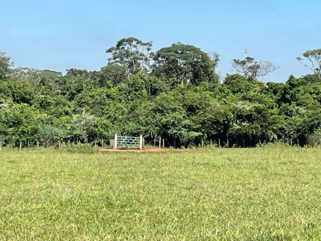 Sitio para venda na região de São Jose do Rio Preto-SP, 25 alqueires montado na pecuária, córrego e represa, casa sede e muitas benfeitorias