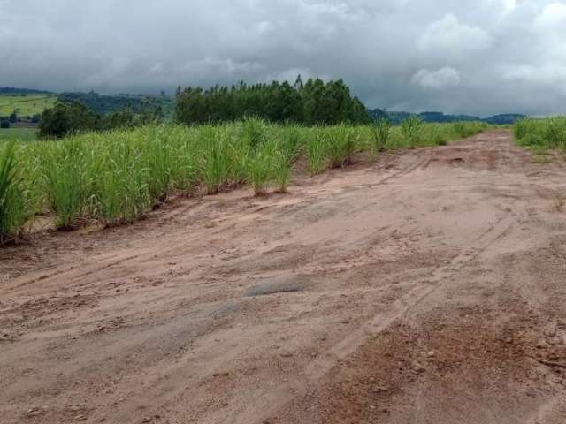 Fazenda para venda na região de São Carlos-SP, com 85,50 alqueires sendo 54,50 alqueires em cana, mais pastagem