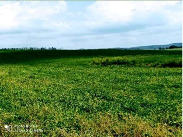 Fazenda para venda na região de Bauru-SP, com 132 alqueires, planta 125 alqueires, 1 km do asfalto, ótima localização