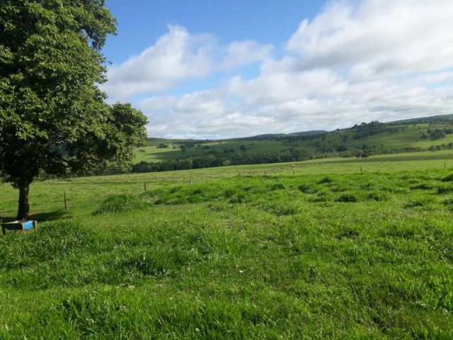 Fazenda para venda na região de Iturama-MG, com 280 alqueirao MG em pasto, boa de agua, benfeitorias, montada pecuária