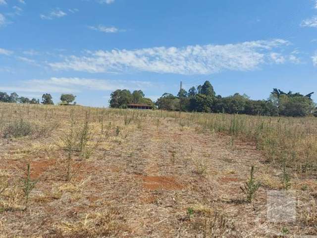 Sitio para venda em Santo Antonio da Alegria-SP, com 9,97 alqueires, planta 8 alqueires, casa sede, de funcionários, barracão e minas de agua