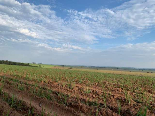 Fazenda para venda na região de São Carlos-SP com 180 alqueires sendo 110 alqueires em cana arrendada mais pasto e muitas benfeitorias