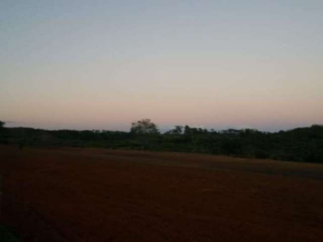 Fazenda para venda em Uberaba com 240,7627hectares, 3 otimas casas, nascentes, córrego e rio na propriedade, formada em pastagem e  160 hectares  em c