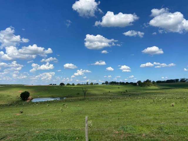 Fazenda para venda na região de Tupa-SP, com 130 alqueires na pecuária, beira rodovia, ótima em benfeitorias, pode plantar 75%