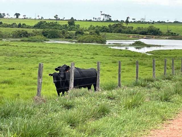 Fazenda dupla aptidão para venda na região de Araguaina-TO, com 17.000 hectares sendo 11.000 abertos, muitas benfeitorias